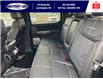 2023 Ford F-150 Platinum (Stk: SFF7664) in Leamington - Image 5 of 5