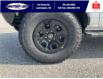 2023 Ford Bronco Wildtrak (Stk: BR29750) in Leamington - Image 21 of 23