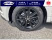 2024 Ford Edge ST Line (Stk: SEG7802) in Leamington - Image 11 of 28
