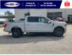 2023 Ford F-150 Lariat (Stk: SFF7825) in Leamington - Image 3 of 30