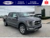 2023 Ford F-150 Platinum (Stk: SFF7803) in Leamington - Image 2 of 30