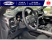 2023 Ford F-150 Platinum (Stk: SFF7803) in Leamington - Image 13 of 30