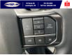 2023 Ford F-150 Platinum (Stk: SFF7803) in Leamington - Image 19 of 30