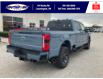 2023 Ford F-250 Lariat (Stk: SFF7782) in Leamington - Image 4 of 30