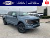 2023 Ford F-150 Tremor (Stk: SFF7860) in Leamington - Image 1 of 30
