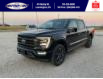 2023 Ford F-150 Lariat (Stk: SFF7875) in Leamington - Image 9 of 29