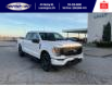 2023 Ford F-150 XLT (Stk: SFF7924) in Leamington - Image 2 of 27
