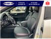 2025 Ford Escape ST-Line Elite (Stk: SPEP00260) in Leamington - Image 14 of 30
