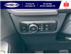 2025 Ford Escape ST-Line Elite (Stk: SPEP00260) in Leamington - Image 20 of 30