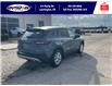 2025 Ford Escape Active (Stk: SPEP00244) in Leamington - Image 4 of 26