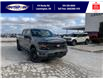 2025 Ford F-150 XLT (Stk: LFFF00756) in Leamington - Image 1 of 27