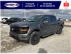 2025 Ford F-150 XLT (Stk: LFFF00756) in Leamington - Image 9 of 27