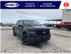 2025 Ford F-150 XLT (Stk: SPFF00255) in Leamington - Image 1 of 27