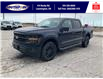 2025 Ford F-150 XLT (Stk: SPFF00255) in Leamington - Image 9 of 27