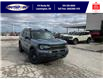 2025 Ford Bronco Sport Big Bend (Stk: LFBS00622) in Leamington - Image 1 of 27