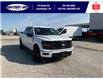2025 Ford F-150 XLT (Stk: SPFF00278) in Leamington - Image 1 of 27