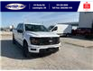 2025 Ford F-150 XLT (Stk: SPFF00278) in Leamington - Image 2 of 27