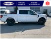 2025 Ford F-150 XLT (Stk: SPFF00278) in Leamington - Image 3 of 27