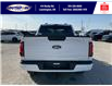 2025 Ford F-150 XLT (Stk: SPFF00278) in Leamington - Image 5 of 27
