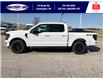 2025 Ford F-150 XLT (Stk: SPFF00278) in Leamington - Image 8 of 27