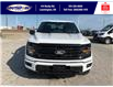 2025 Ford F-150 XLT (Stk: SPFF00278) in Leamington - Image 10 of 27