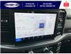 2025 Ford F-150 XLT (Stk: SPFF00278) in Leamington - Image 20 of 27