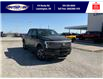 2025 Ford F-150 Lightning Lariat (Stk: SPFF00245) in Leamington - Image 1 of 27