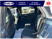 2025 Ford Escape ST-Line (Stk: SPEP00360) in Leamington - Image 24 of 27