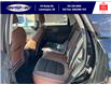 2025 Ford Bronco Sport Outer Banks (Stk: LFBS00630) in Leamington - Image 25 of 28