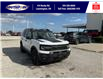 2025 Ford Bronco Sport Big Bend (Stk: SPBS00287) in Leamington - Image 2 of 27