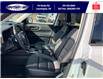 2025 Ford Bronco Sport Big Bend (Stk: SPBS00287) in Leamington - Image 14 of 27