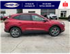 2025 Ford Escape ST-Line (Stk: SPEP00332) in Leamington - Image 3 of 27