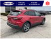 2025 Ford Escape ST-Line (Stk: SPEP00332) in Leamington - Image 4 of 27
