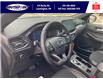 2025 Ford Escape ST-Line (Stk: SPEP00332) in Leamington - Image 13 of 27