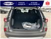 2025 Ford Escape ST-Line (Stk: SPEP00296) in Leamington - Image 6 of 26