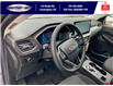 2025 Ford Escape ST-Line (Stk: SPEP00296) in Leamington - Image 13 of 26