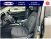 2025 Ford Escape ST-Line (Stk: SPEP00296) in Leamington - Image 14 of 26