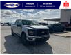 2025 Ford F-150 XLT (Stk: SPFF00339) in Leamington - Image 2 of 27