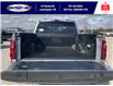 2025 Ford F-150 XLT (Stk: SPFF00339) in Leamington - Image 6 of 27