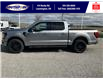 2025 Ford F-150 XLT (Stk: SPFF00339) in Leamington - Image 8 of 27