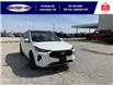 2025 Ford Escape ST-Line Elite (Stk: SPEP00295) in Leamington - Image 2 of 30