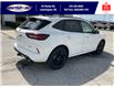 2025 Ford Escape ST-Line Elite (Stk: SPEP00295) in Leamington - Image 4 of 30
