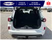 2025 Ford Escape ST-Line Elite (Stk: SPEP00295) in Leamington - Image 6 of 30