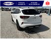 2025 Ford Escape ST-Line Elite (Stk: SPEP00295) in Leamington - Image 7 of 30