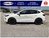 2025 Ford Escape ST-Line Elite (Stk: SPEP00295) in Leamington - Image 8 of 30