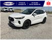 2025 Ford Escape ST-Line Elite (Stk: SPEP00295) in Leamington - Image 9 of 30