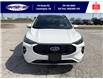 2025 Ford Escape ST-Line Elite (Stk: SPEP00295) in Leamington - Image 10 of 30