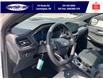 2025 Ford Escape ST-Line Elite (Stk: SPEP00295) in Leamington - Image 13 of 30
