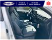 2025 Ford Escape ST-Line Elite (Stk: SPEP00295) in Leamington - Image 30 of 30