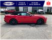 2025 Ford Mustang EcoBoost Premium (Stk: LFMU00939) in Leamington - Image 4 of 28